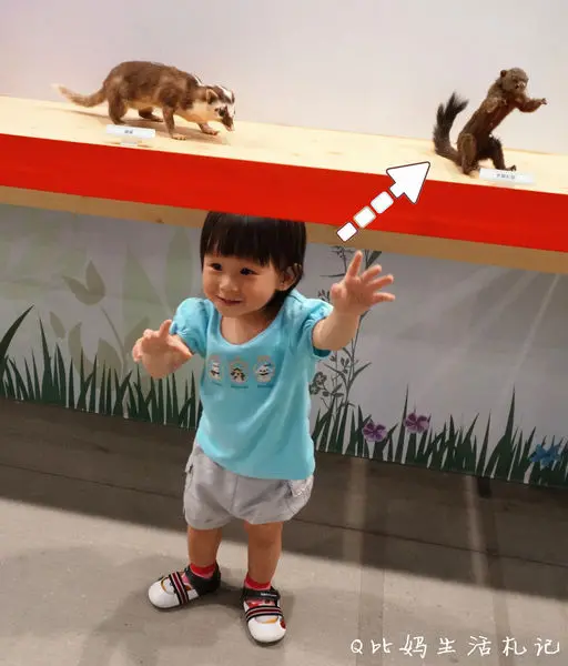 <親子共賞>零距離與野生動物面對面，滿真實的動物標本展@六福村野生動物大遷徙