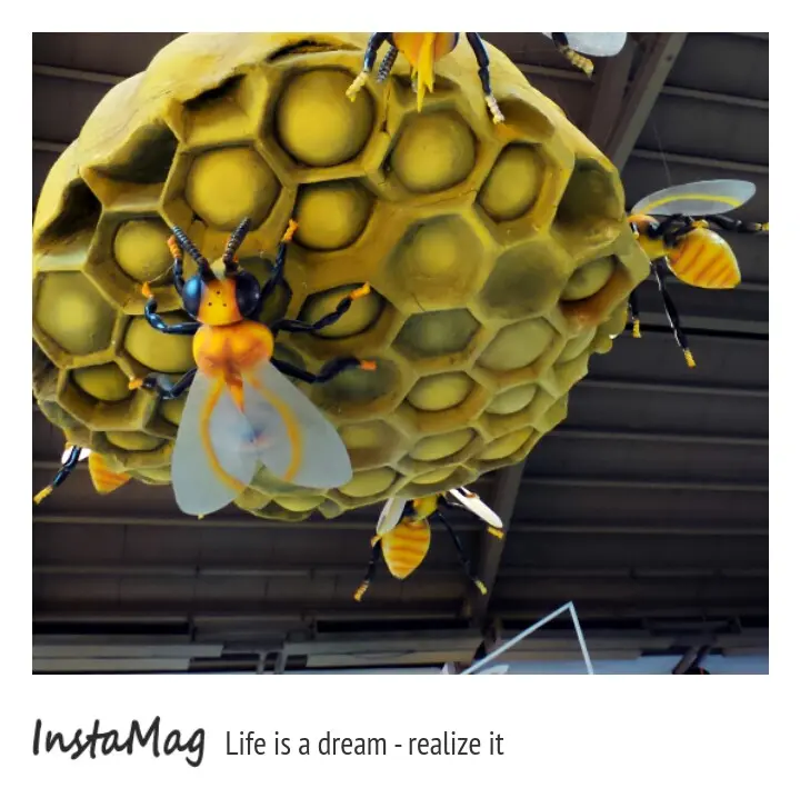 雲林古坑蜜蜂故事館