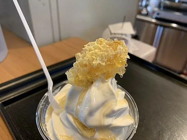 雲林古坑蜜園~好吃的蜂巢牛奶霜淇淋~蜜蜂故事館~是親子同遊增長知識的好地方~