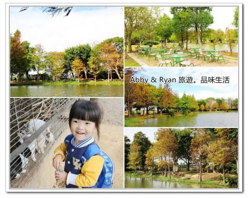 【新竹湖口景點】新竹落羽松。松湖休閒親子寵物莊園/輕食咖啡~兒童遊戲區/玩沙/餵食兔子鴨子魚哦！