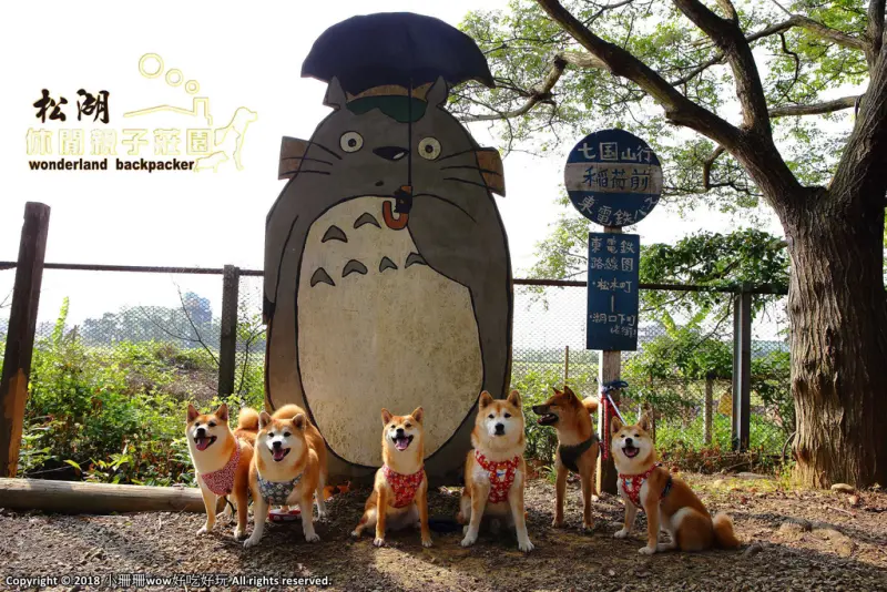 【遊。新竹】松湖休閒親子莊園〜新竹親子景點。沙坑/戲水池/溜滑梯/草皮/釣魚，讓爸媽、小孩都能放鬆的休閒農場