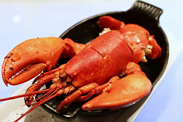 【台中餐廳 - 夏慕尼新香榭鐵板燒 台中大隆店】夏慕尼龍蝦季登場啦🎉2017/3/1~2017/4/30凡消費兩客套餐，即可享波士頓龍蝦半隻買一送一的優惠喔！