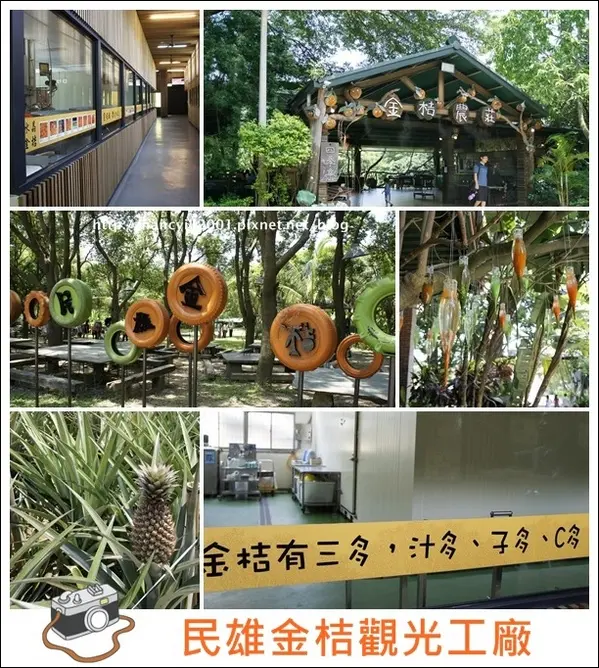 民雄【金桔觀光工廠】        
      