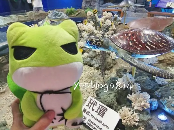 【澎湖望安嶼│景點】綠蠵龜觀光保育中心＊門票就是明信片 免郵票幫你寄回家