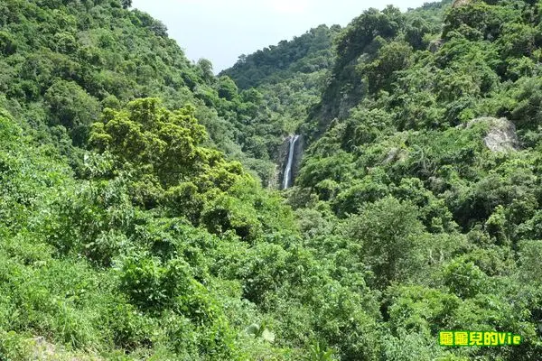 ∥龜龜ai吃吃∥花蓮 羅山村 溫媽媽火山豆腐 生態驛站 誤打誤撞的美味豆腐料理 綿密可口又健康