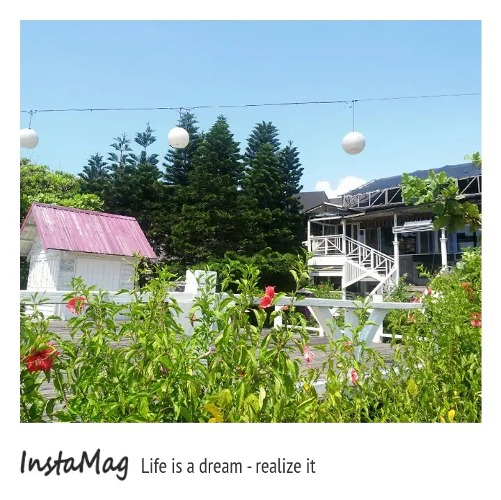 由漂流木打造的餐廳&擁有最佳海景~{看海看羊}原野牧場