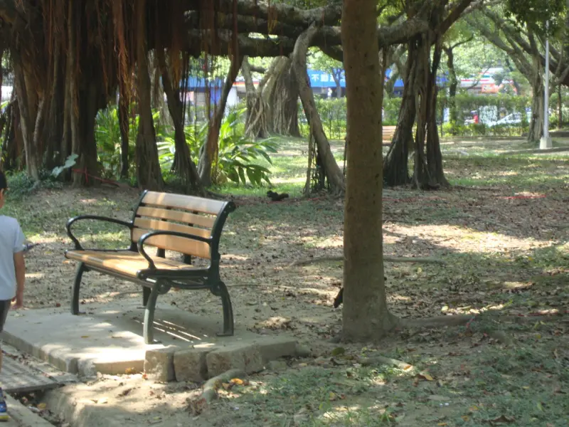 [台北]大安森林公園。。享受芬多精...回歸自然