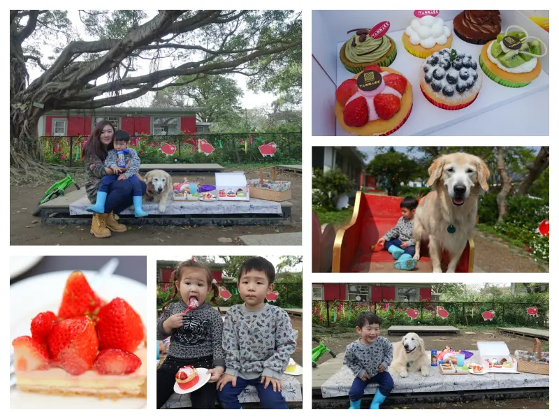 『寵物。親子旅遊』陽明山新景點。亞尼克夢想村 X 親子野餐趣。下午茶。DIY烘培蛋糕