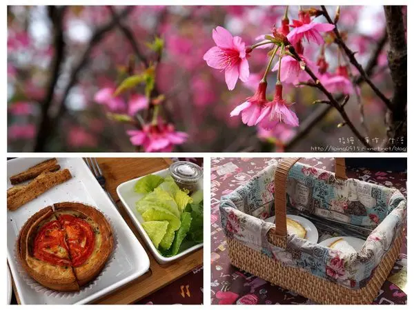 [食記]一起到陽明山賞櫻野餐吧 - 亞尼克夢想村&平菁街櫻花