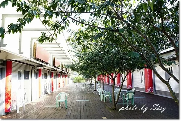 苗栗三義藝術村櫻花渡假會館 ~賞桐花、賞櫻花的最佳住宿選擇