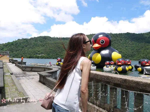 【旅遊】花蓮。鯉魚潭。沒有霍夫曼黃色小鴨 。幸好巧遇 一群紅面番鴨 