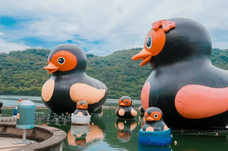 【花蓮景點】2020紅面鴨FUN暑假活動 /親子旅遊 /壽豐鄉鯉魚潭