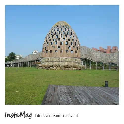 咖啡色巨型蛋塔~森林之歌