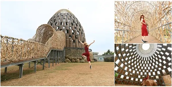 【嘉義景點】叢林版小巨蛋，網美IG打卡熱點！近文化路夜市，日夜都好拍的森林之歌        
      