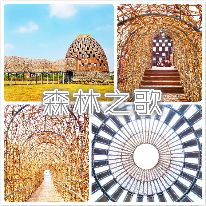 //嘉義景點/森林之歌。王文志。木材之都。只想這樣靜靜地待在裡頭，欣賞那藝術的光影美學