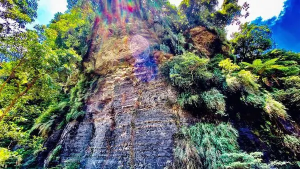 新北十大推薦步道│汐止姜子寮絕壁五星級步道│姜子寮絕壁姜子寮瀑布│來一場森林與大自然的療癒之旅