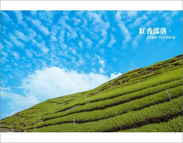 【清境景點】綠色世界！隱身於清境的純樸部落@紅香部落