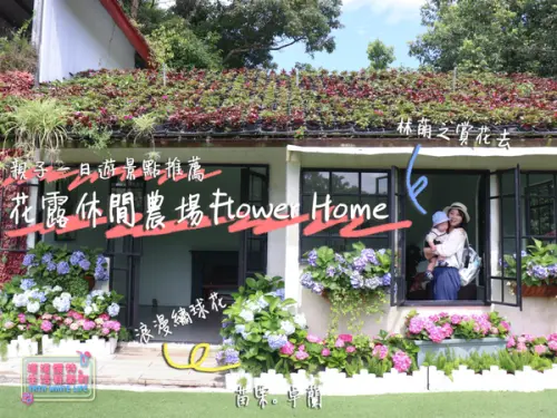 【苗栗卓蘭景點】花露休閒農場Flower Home：林萌之賞花去！親子景點推薦，北台灣親子一日遊分享，浪漫繡球花季，好拍薰衣草田，景觀餐廳喝咖啡，還可以搭小火車逛逛喔！