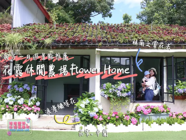 【苗栗卓蘭景點】花露休閒農場Flower Home：林萌之賞花去！親子景點推薦，北台灣親子一日遊分享，浪漫繡球花季，好拍薰衣草田，景觀餐廳喝咖啡，還可以搭小火車逛逛喔！