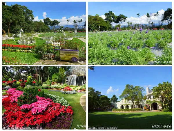 【苗栗。卓蘭】四季花卉。漫遊香草園。花露休閒農場
