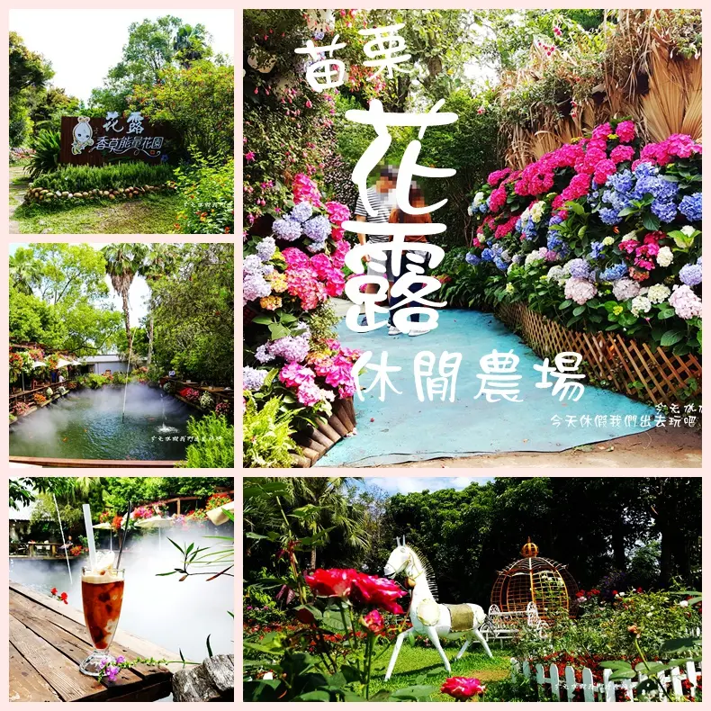 花露休閒農場。繽紛色系繡球花好好拍。池畔喝咖啡享優閒