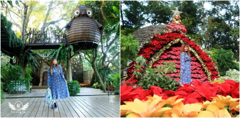 苗栗景點)) 花露休閒農場，苗栗賞花景點|繡球花.蘭花.薰衣草|苗栗週休二日旅遊! - 虎虎龍龍*珍太妃
