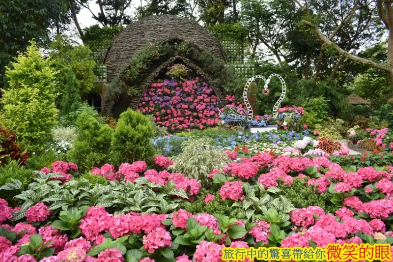 【苗栗】花露休閒農場~繡球花大滿開~玻璃花屋/可愛動物區/生態魚池~親子旅遊好去處~