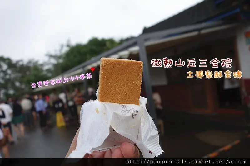 【南投市】微熱山丘三合院Sunny Hills；耀眼黃色金磚，顛覆傳統鳳梨酥，免費享用一塊鳳梨酥+奉茶，外出散步好地方！還有市集活動可參觀採買~