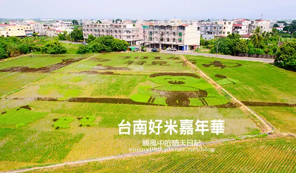 【2014台南好米嘉年華】 看稻田彩繪、有玩有吃有體驗 台南玩米樂