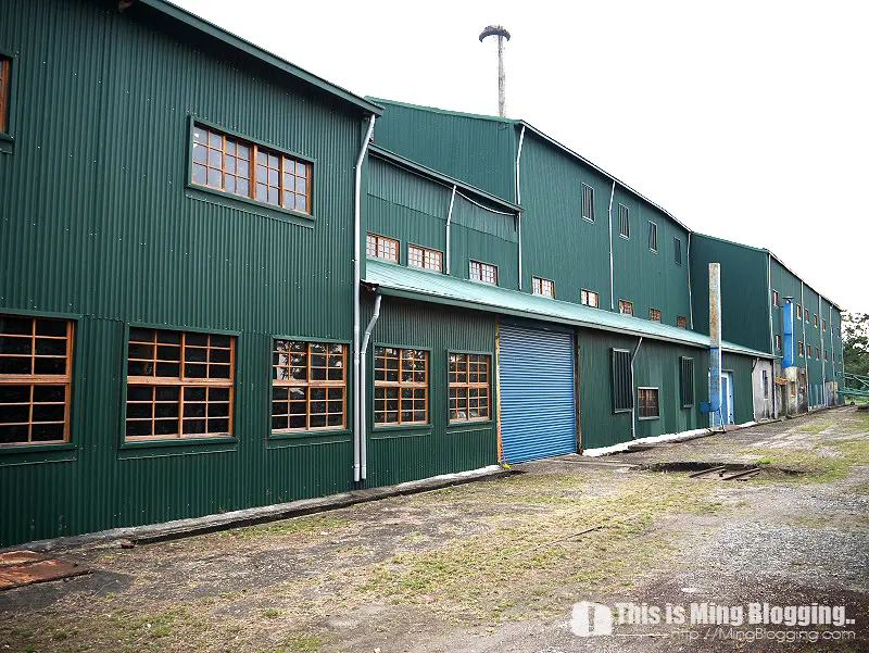 【機車環島】13-馬蘭舊站鐵道晨間散步，清晨的台東舊糖廠 [台東市]