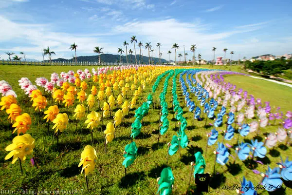 【新北。鶯歌】三鶯陶花源。三鶯藝術村。三鶯之心。彩虹風車