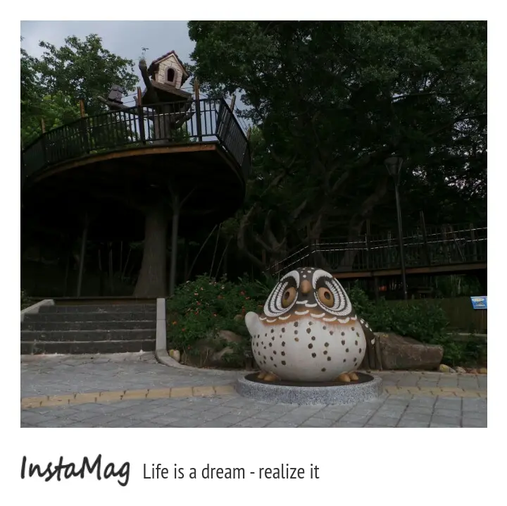 貓頭鷹童話森林王國~奧爾森林學堂