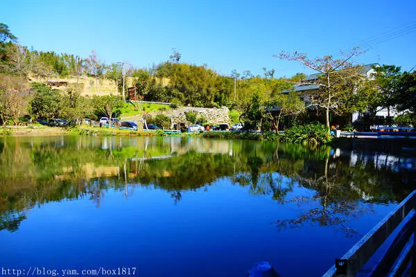 【桃園。大溪】私房景點。白翎絲奇穴。豆麥埤塘。夢幻祕境