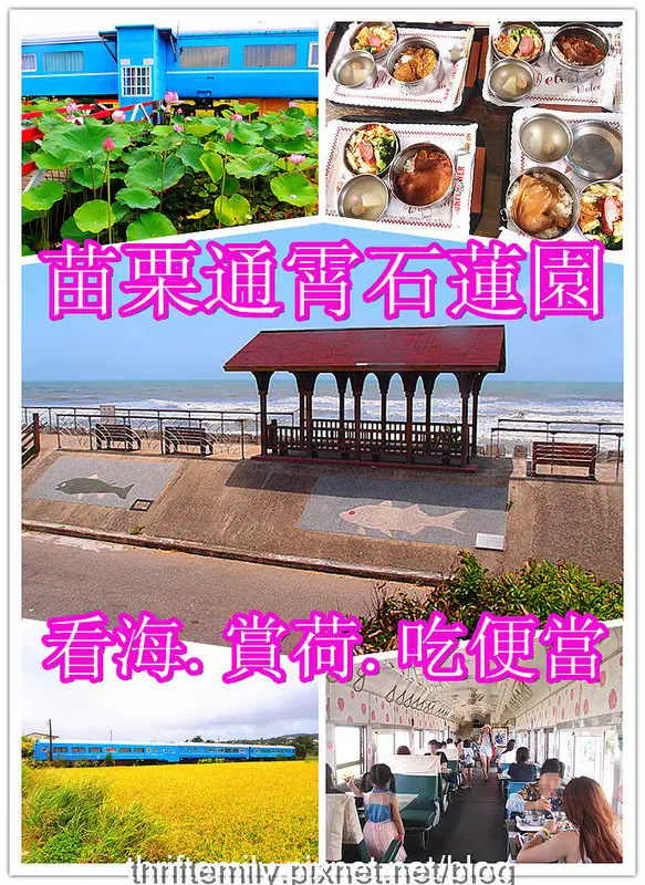[七夕情人節特別企劃]:苗栗通霄石蓮園,搭火車吃便當,看海景賞蓮花,浪漫100%(上)
