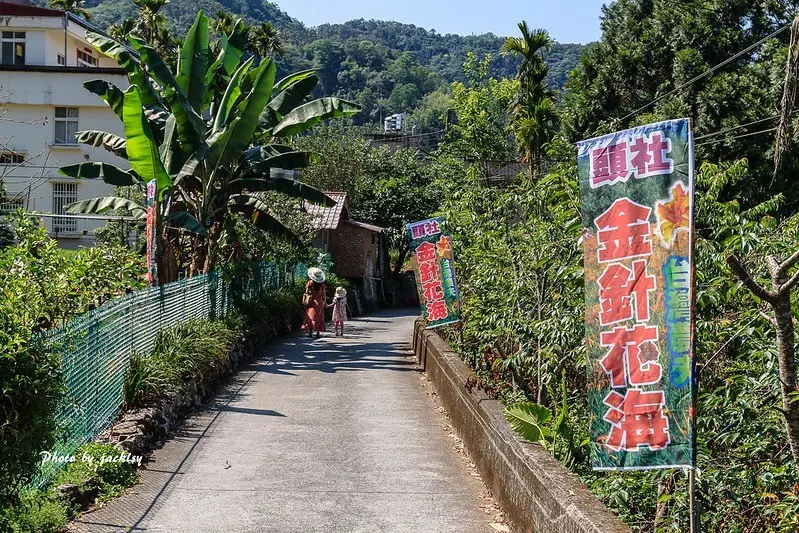 200509南投-日月潭金針花海園區