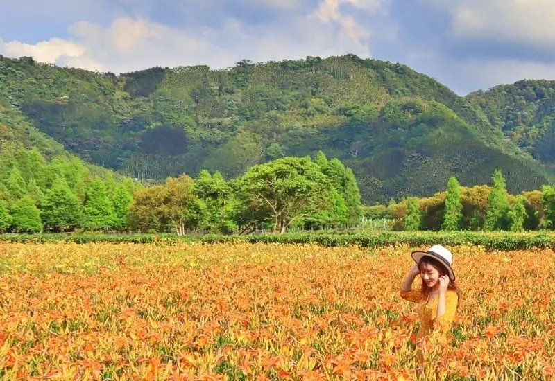 日月潭景點 || 黃澄澄的忘憂金針花海・會跳舞的頭社活盆地・南投魚池一日遊