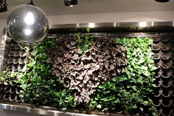 我這白皙的皮膚..怎麼捨得在烈日下曝曬呢??當然就是要找間無用餐時間限制的Perfect餐廳休憩一會兒囉!