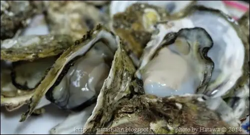 
【享食】宜蘭員山 ◪ 嘉朋炭烤澎湖牡蠣 ♦ 快打烊時光臨不需人擠人歐耶xDD
