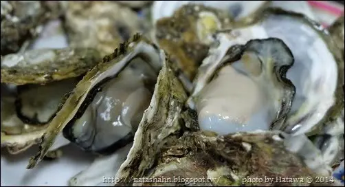 
【享食】宜蘭員山 ◪ 嘉朋炭烤澎湖牡蠣 ♦ 快打烊時光臨不需人擠人歐耶xDD
