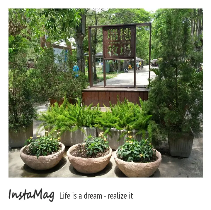 瑞穗牧場看牛去~