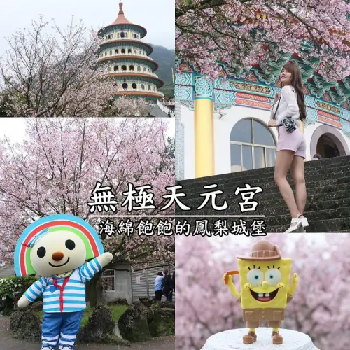 【新北|淡水】淡水無極天元宮吉野櫻-2016北部賞櫻趣-快抓住櫻花季尾巴來場華麗櫻吹雪-交通資訊-7-11OPEN小將X外拍小模X海綿飽飽(2016.03.31花況)