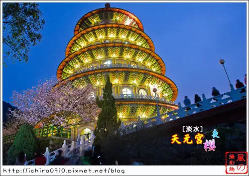 [賞花]【淡水線淡水站】淡水天元宮。賞櫻花~拍夜櫻