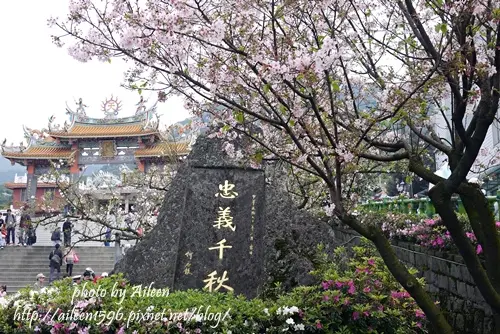 [新北] 每年必訪~美到好像到了日本的無極天元宮