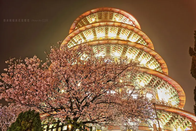 【台北景點】2015.3.14花況~台北賞花地圖！再訪淡水天元宮櫻花季~白天人多就來賞夜櫻~也是一種愜意^^