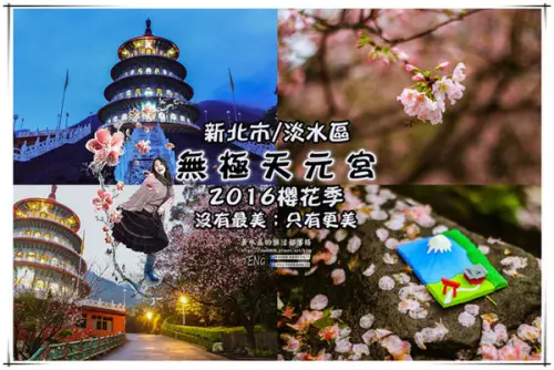 淡水無極天元宮(2016櫻花季)|新北市/淡水區(每年一到這時節，必來這裡走一回。2016/03/20)