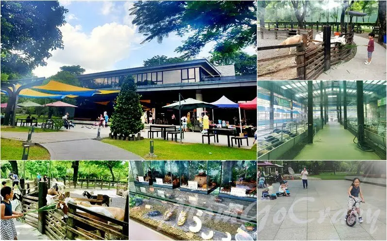 【高雄｜大樹景點】華一休閒農場｜餵小羊吃牧草、看動物吃羊奶冰棒還有好吃的奶酪~ - 1個媽咪2個寶