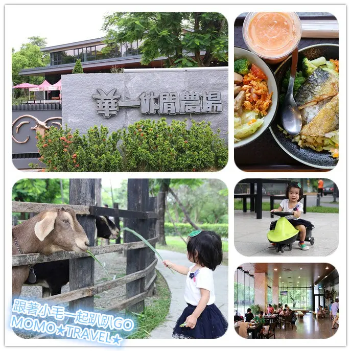 高雄旅遊-華一休閒農場 嘉南羊乳高雄區示範牧場 小牧場丨大趣味