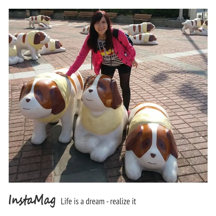 超萌來福狗軍團~嘉義市東區耐斯松屋