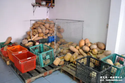 炎術獨創養生天然飲料+和臉一樣大的大城黑糖饅頭