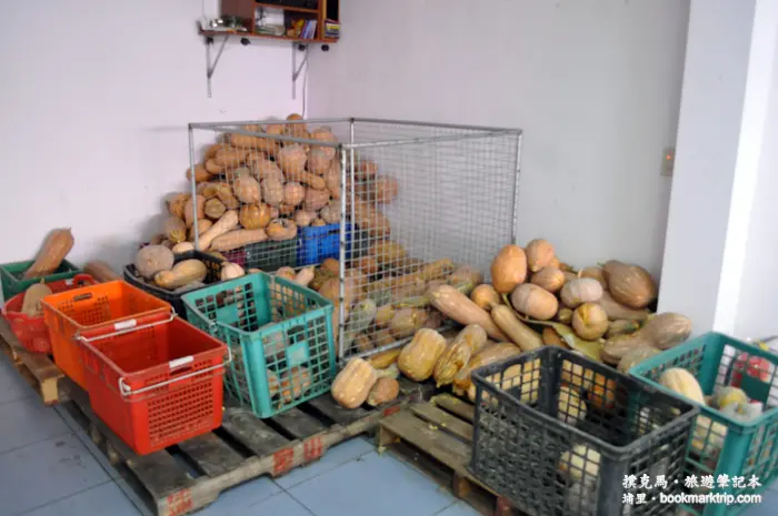 炎術獨創養生天然飲料+和臉一樣大的大城黑糖饅頭